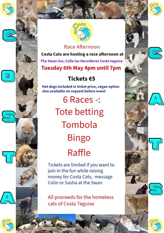 Charity Race Afternoon